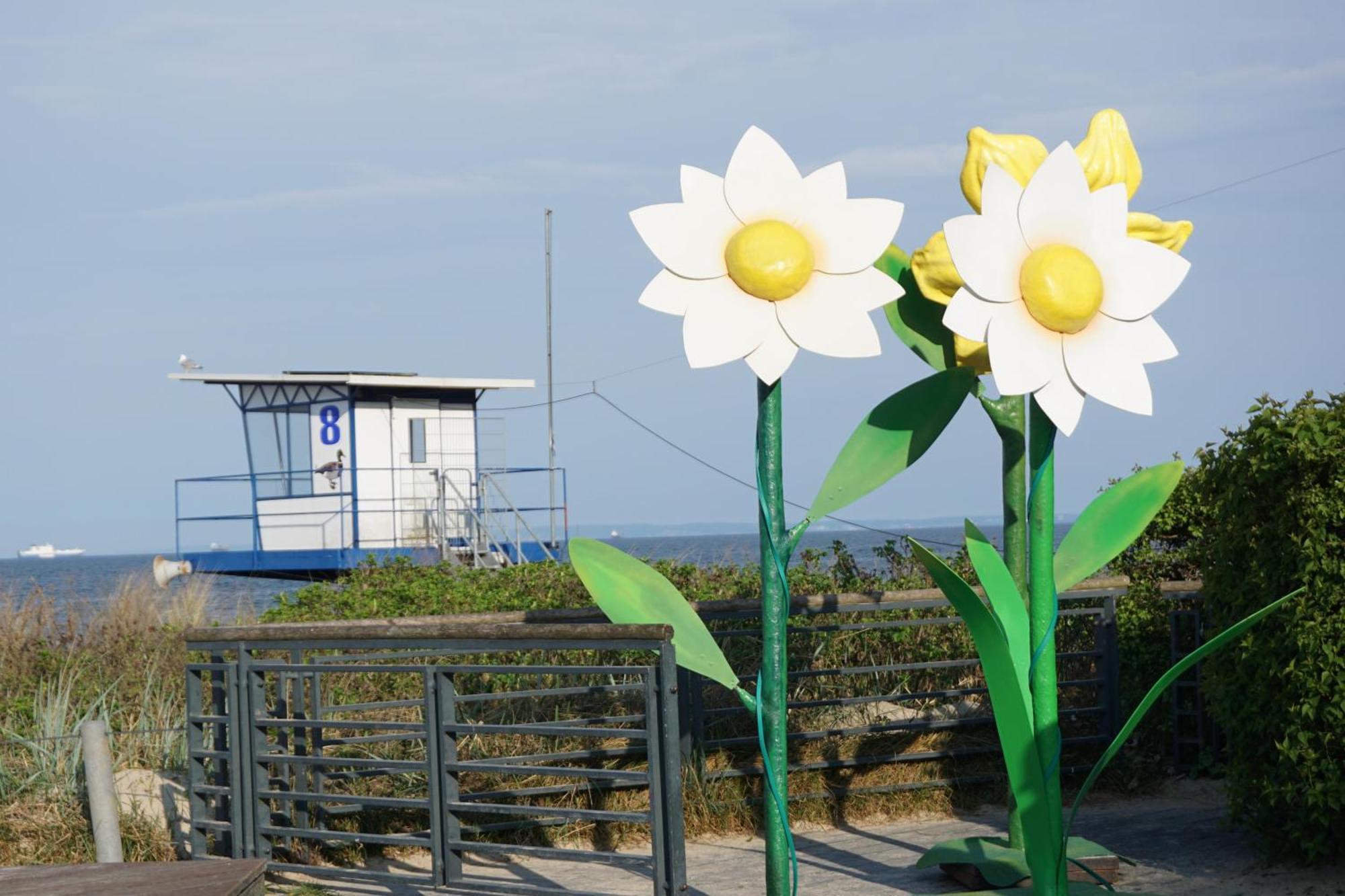 Strandoase - Fewo 21 เฮริงสดอร์ฟ ภายนอก รูปภาพ